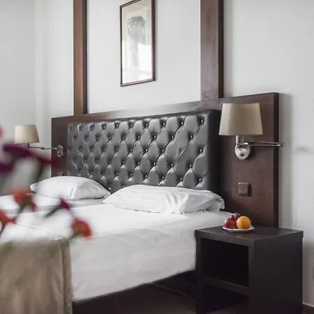 考纳斯安伯顿舒适酒店 酒店 4*