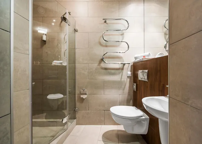 考纳斯安伯顿舒适酒店 酒店 考纳斯