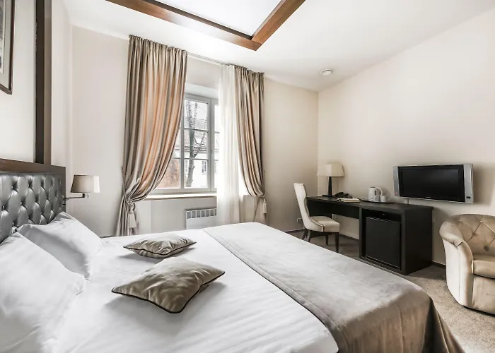 酒店 考纳斯安伯顿舒适酒店 4*