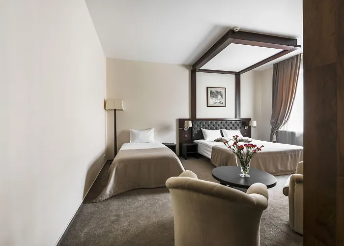 考纳斯安伯顿舒适酒店 酒店 4*