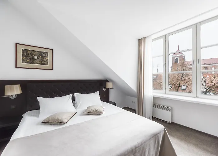 酒店 考纳斯安伯顿舒适酒店 考纳斯