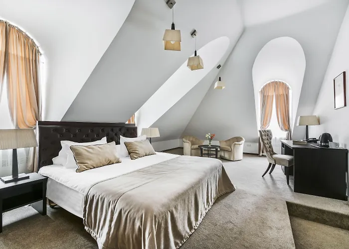 考纳斯安伯顿舒适酒店 考纳斯