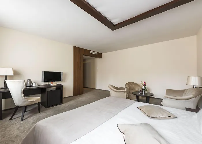 考纳斯安伯顿舒适酒店 酒店 考纳斯