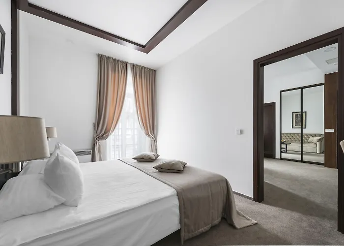 酒店 考纳斯安伯顿舒适酒店