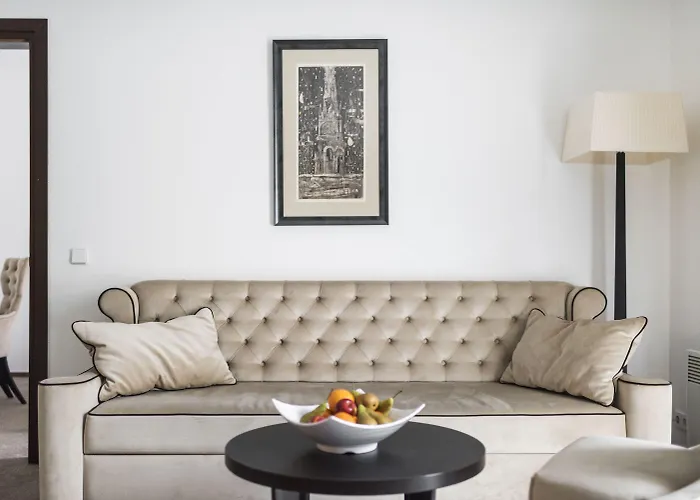 酒店 考纳斯安伯顿舒适酒店 4*