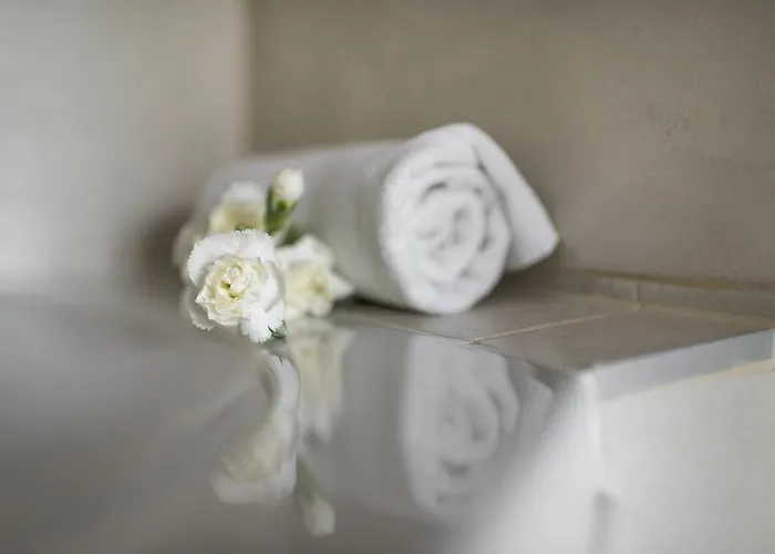 考纳斯安伯顿舒适酒店 考纳斯