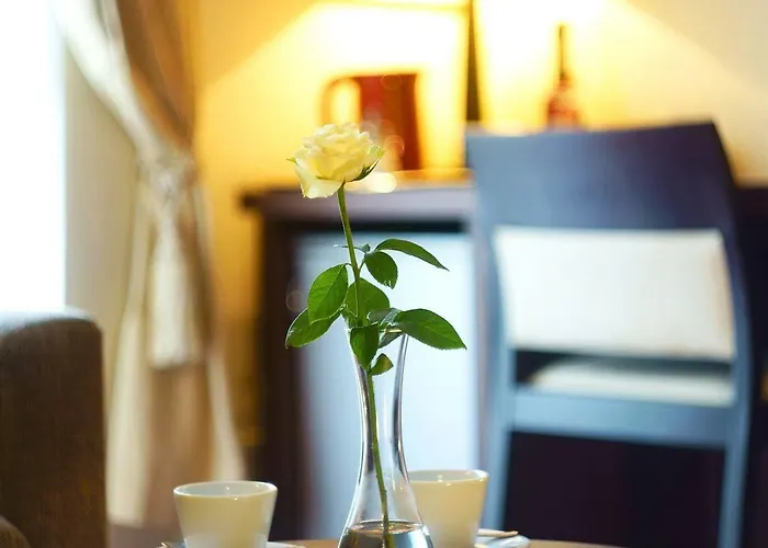 考纳斯安伯顿舒适酒店